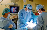 Посмертное донорство: когда врачи вправе брать органы для трансплантации?